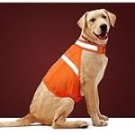 Variedad de chalecos reflectantes para perros