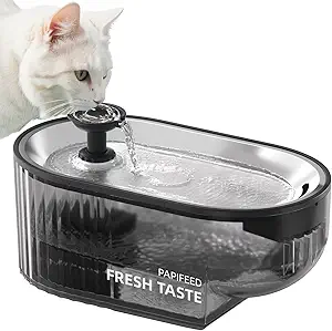 10 Mejores Fuentes Automáticas de Agua para Gatos en 2025