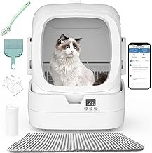 10 Productos Innovadores para Gatos que Resuelven Problemas Comunes