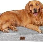 Cómo elegir una cama cómoda para perros según su tamaño