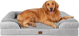 Cómo elegir una cama cómoda para perros según su tamaño