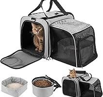 10 Productos de Seguridad para Gatos