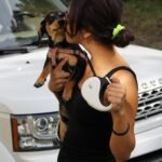 correas retráctiles para perros